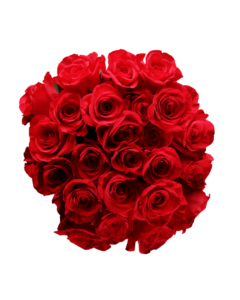 Ramo Clásico de 24 Rosas