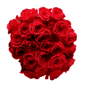 Ramo Clásico de 24 Rosas