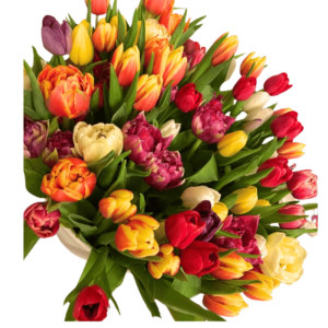 Arreglo de Tulipanes