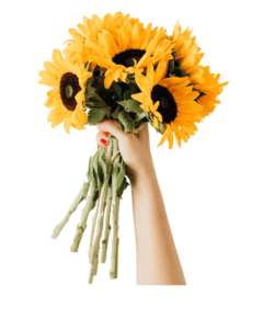 Ramo de Girasol