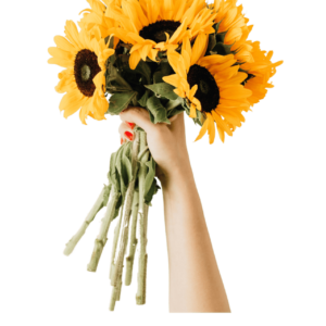 Ramo de Girasol