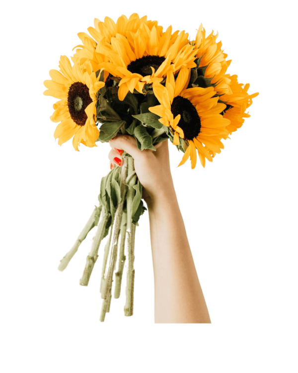 Ramo de Girasol